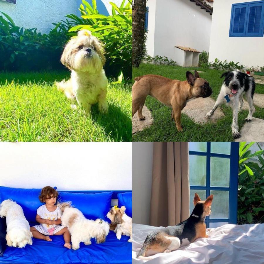 Suites Curta Paraty, Familia E Pets Экстерьер фото